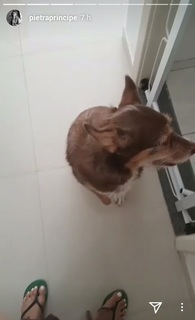 Pietra Príncipe feet photo thumbnail