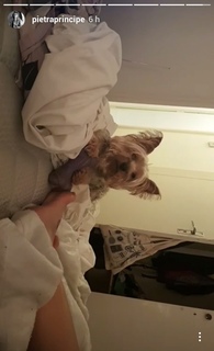 Pietra Príncipe feet photo thumbnail