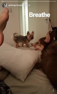 Pietra Príncipe feet photo thumbnail