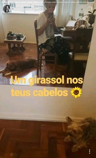 Pietra Príncipe feet photo thumbnail