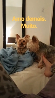 Pietra Príncipe feet photo thumbnail