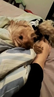 Pietra Príncipe feet photo thumbnail