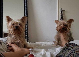 Pietra Príncipe feet photo thumbnail