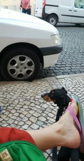 Pietra Príncipe feet photo thumbnail