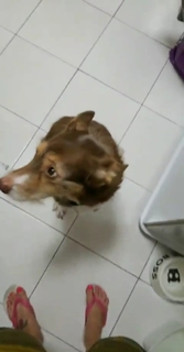 Pietra Príncipe feet photo thumbnail