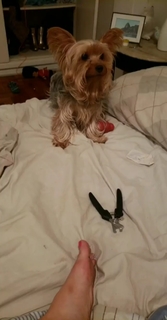 Pietra Príncipe feet photo thumbnail