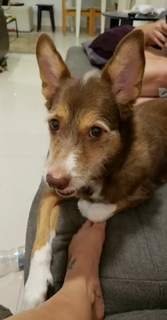 Pietra Príncipe feet photo thumbnail