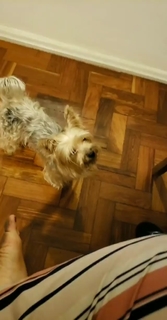 Pietra Príncipe feet photo thumbnail