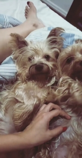 Pietra Príncipe feet photo thumbnail