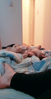 Pietra Príncipe feet photo thumbnail