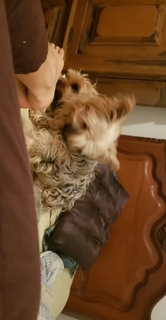 Pietra Príncipe feet photo thumbnail