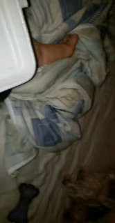 Pietra Príncipe feet photo thumbnail