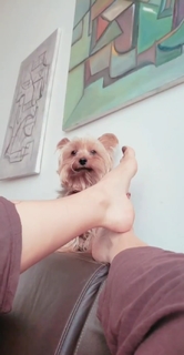 Pietra Príncipe feet photo thumbnail