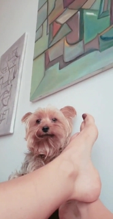 Pietra Príncipe feet photo thumbnail