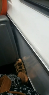 Pietra Príncipe feet photo thumbnail