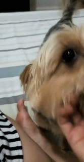 Pietra Príncipe feet photo thumbnail