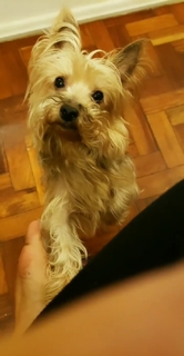 Pietra Príncipe feet photo thumbnail