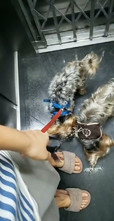 Pietra Príncipe feet photo thumbnail