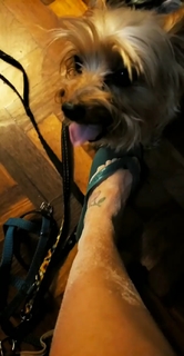 Pietra Príncipe feet photo thumbnail