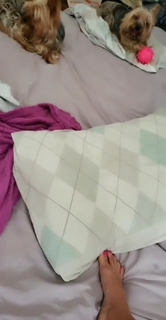 Pietra Príncipe feet photo thumbnail