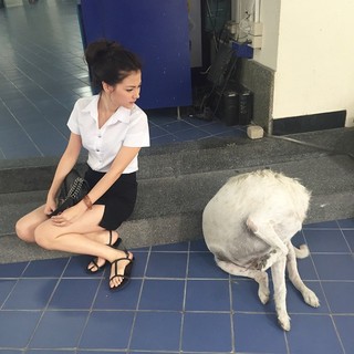 Pimchanok Leuwisetpaiboon feet photo 14