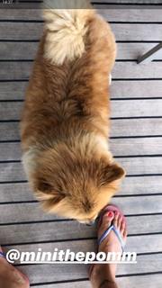 Pinar Altug feet photo thumbnail