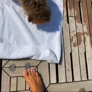 Pinar Altug feet photo thumbnail