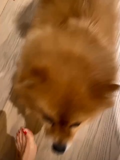 Pinar Altug feet photo thumbnail