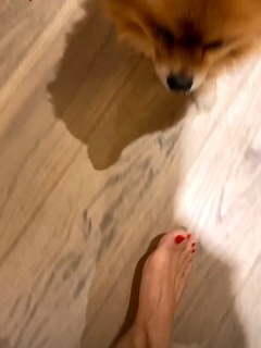 Pinar Altug feet photo thumbnail