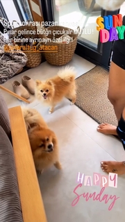 Pinar Altug feet photo thumbnail