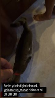 Pinar Altug feet photo 3