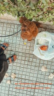 Pinelopi Plaka feet photo 8