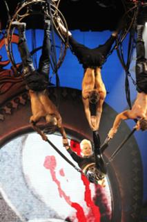 Pink feet photo thumbnail