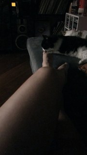 Pitty feet photo 6