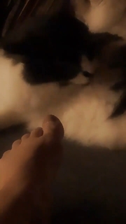 Pitty feet photo 2