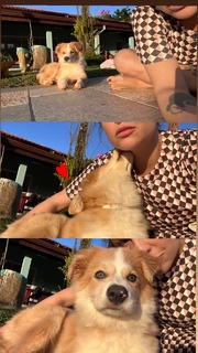 Pitty feet photo 3