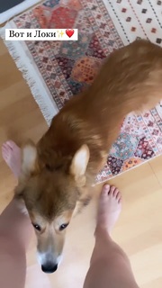 Polina Grents feet photo thumbnail