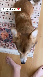 Polina Grents feet photo thumbnail
