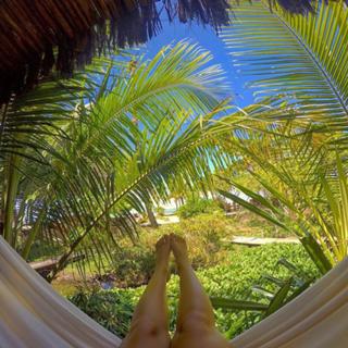 Polliana Aleixo feet photo 12