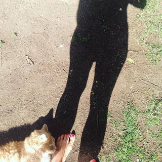 Pollyanna McIntosh feet photo thumbnail