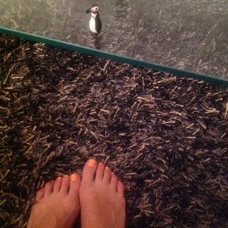 Pollyanna McIntosh feet photo thumbnail