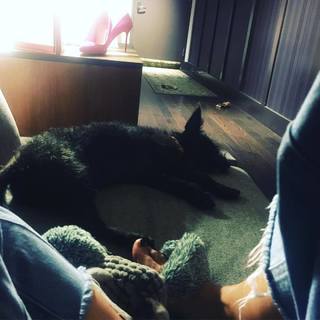 Pollyanna McIntosh feet photo thumbnail