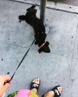Pollyanna McIntosh feet photo thumbnail