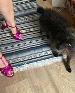 Pollyanna McIntosh feet photo thumbnail