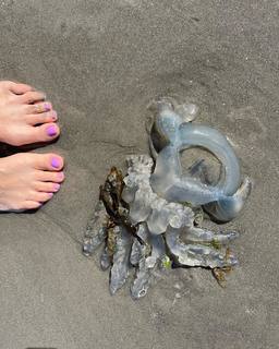 Pollyanna McIntosh feet photo thumbnail