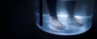 Pomme feet photo 16