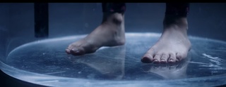 Pomme feet photo 14