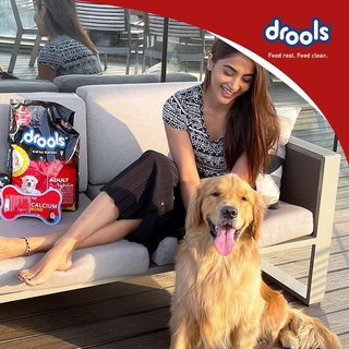 Pooja Hegde feet photo thumbnail