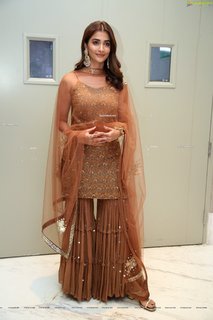 Pooja Hegde feet photo thumbnail