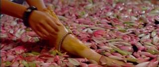 Pooja Umashankar feet photo 7